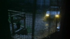 Death and the Maiden (1994)