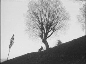 In Memory of the Day Passed By