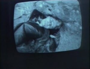 Videograms of a Revolution 