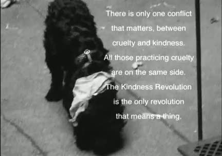 Star Spangled To Death - Chapter 3 - 050