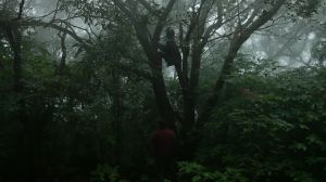 THe Last Mango Before The Monsoon