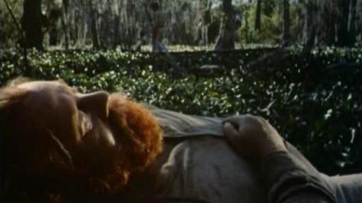 Wind Across the Everglades