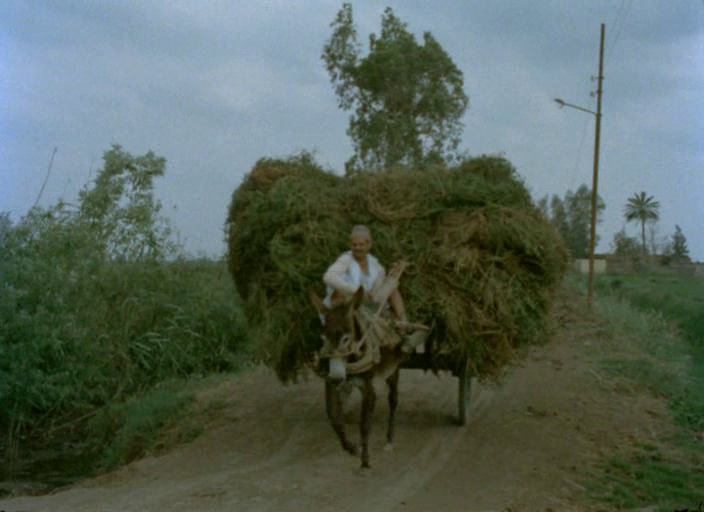 Too Soon Too Late (1981)