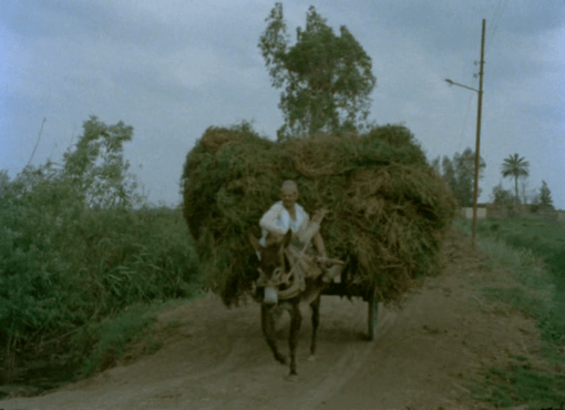 Too Soon Too Late (1981)